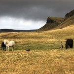 Skafta | Photo taken by Josephine M