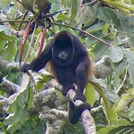 Photo taken by Alexia M