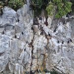 Photo taken by Stefani C