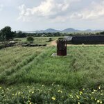 Photo taken by Kim C