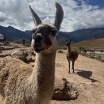 Photo taken by Lindsey B