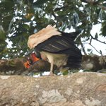 Photo taken by Graeme W