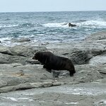 Photo taken by John L