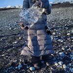 Photo taken by Debbie C