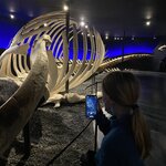 Photo taken by hanoch f