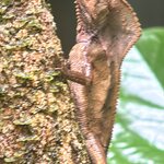 Photo taken by Chris H