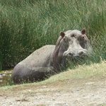 Photo taken by Kristin M