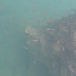 Photo taken by Kiko S