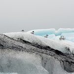 Photo taken by Amy C