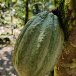 Photo taken by Mordechay T