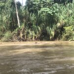 Photo taken by Anna L