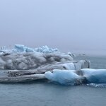 Photo taken by Cara W