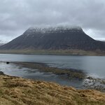 Photo taken by Tom B