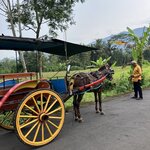 Photo taken by Ulrike S