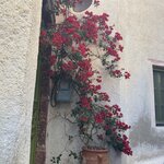 Photo taken by John N