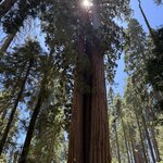 Photo taken by Silvain B