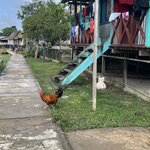 Photo taken by Deborah S