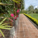 Photo taken by Bincy P