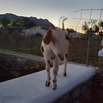 Photo taken by Patricia K