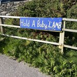 Photo taken by Kerrick M