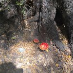 Photo taken by Gabrielle H