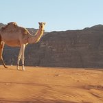 Photo taken by Dermott M