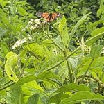 Photo taken by Mylinda D