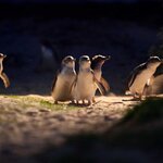 Photo taken by Maria K