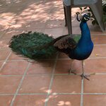 Photo taken by Miguel T