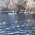 Photo taken by Capri B