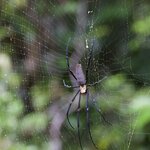 Photo taken by Matthew M