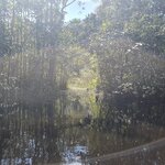 Photo taken by Bree J