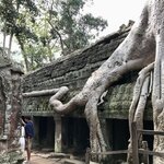 Photo taken by Kim C