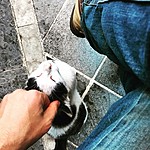 Photo taken by John David W