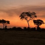 Photo taken by rhonda c