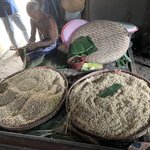 Photo taken by Matteo R