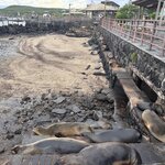 Photo taken by Ben S