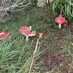 Photo taken by Anne H