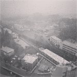 Typhoon Hagibis from the 15th floor | Photo taken by peter e