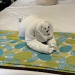 Photo taken by Harshida P