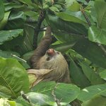 Photo taken by Touraj K