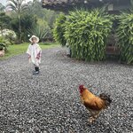 Photo taken by Celeste H