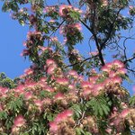 Photo taken by Ashley S