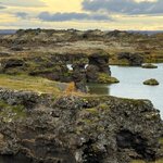 Photo taken by Sue F