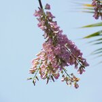 Photo taken by Brett F