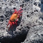 Photo taken by Barb M