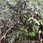 Photo taken by Samantha S