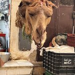 Photo taken by Patty N