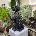 Photo taken by PAUL S