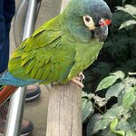 Photo taken by Graciela P